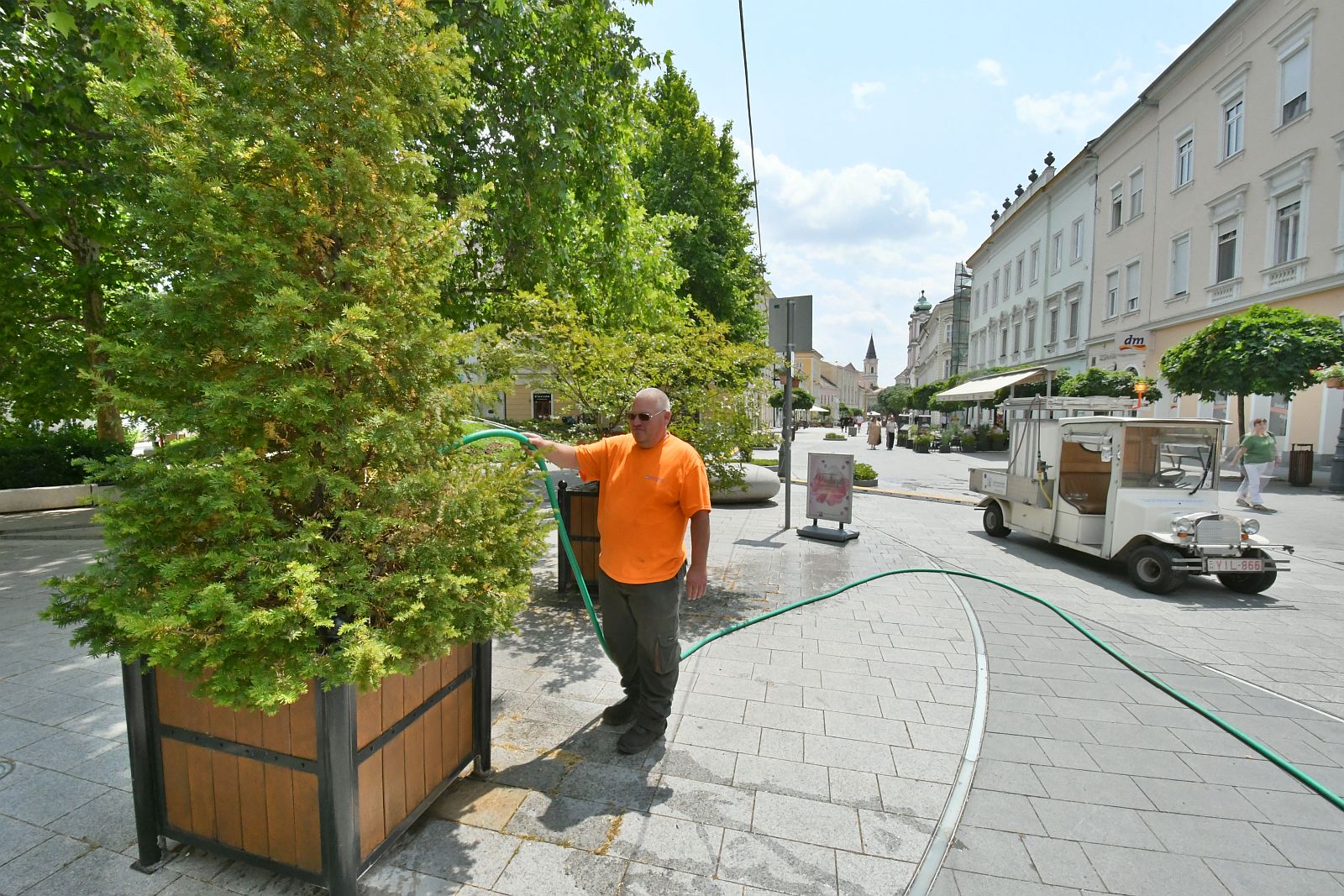Saját kútból öntözi a Városgondnokság a közterületi növényeket